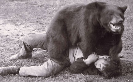 bear wrestling